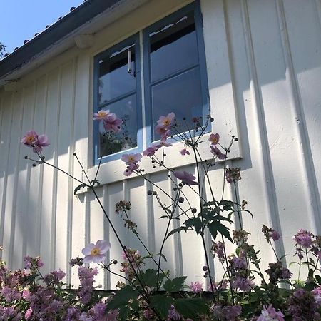 Seaside Cottage Haga Park Frobygarda Екстериор снимка