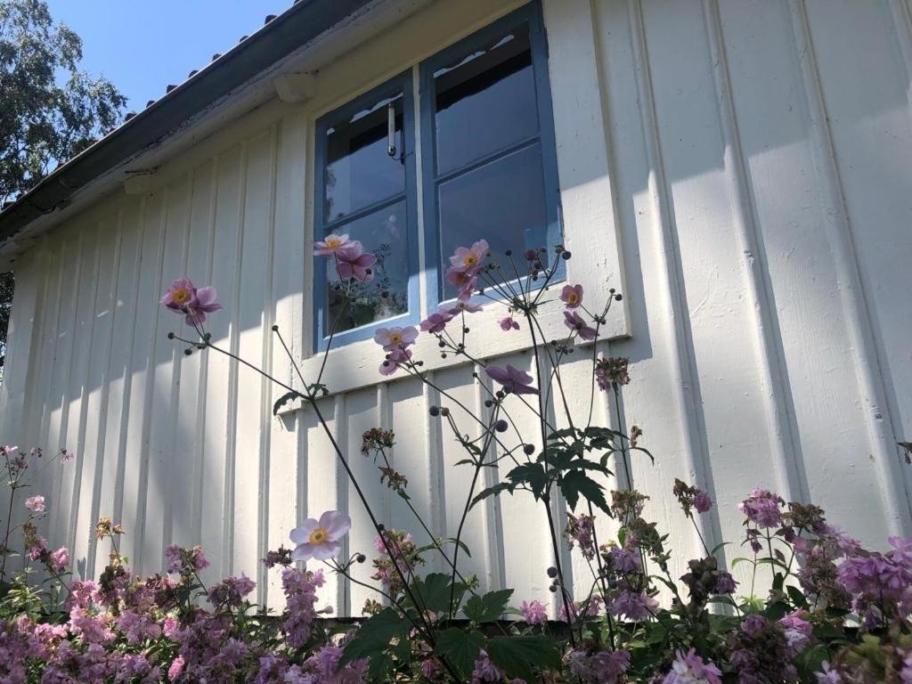 Seaside Cottage Haga Park Frobygarda Екстериор снимка